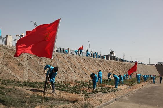 植樹活動(dòng)現(xiàn)場(chǎng)